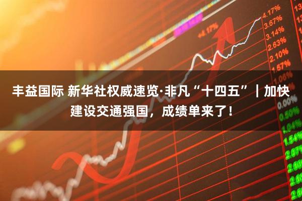 丰益国际 新华社权威速览·非凡“十四五”｜加快建设交通强国，成绩单来了！